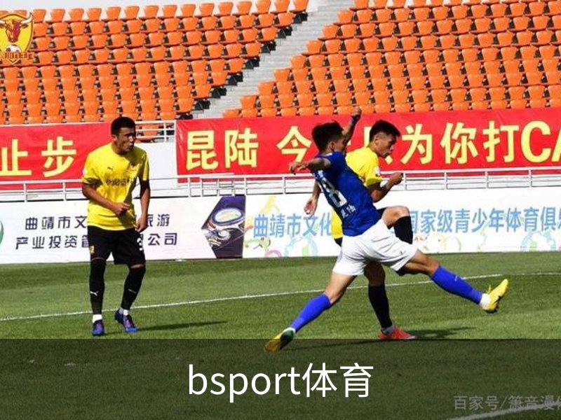 关于bsport体育